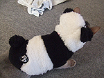 panda